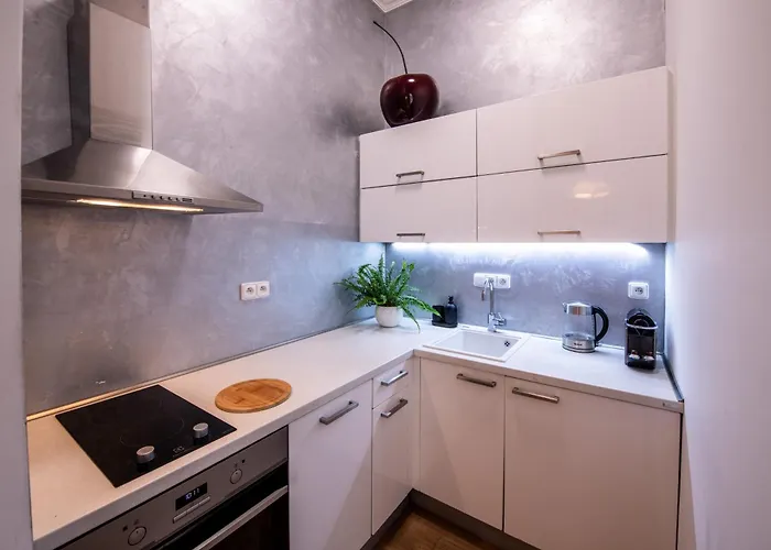 Modern Downtown - Renovated, On Ideal Location Apartment