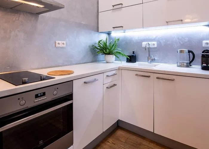 Apartment Modern Downtown - Renovated, On Ideal Location *